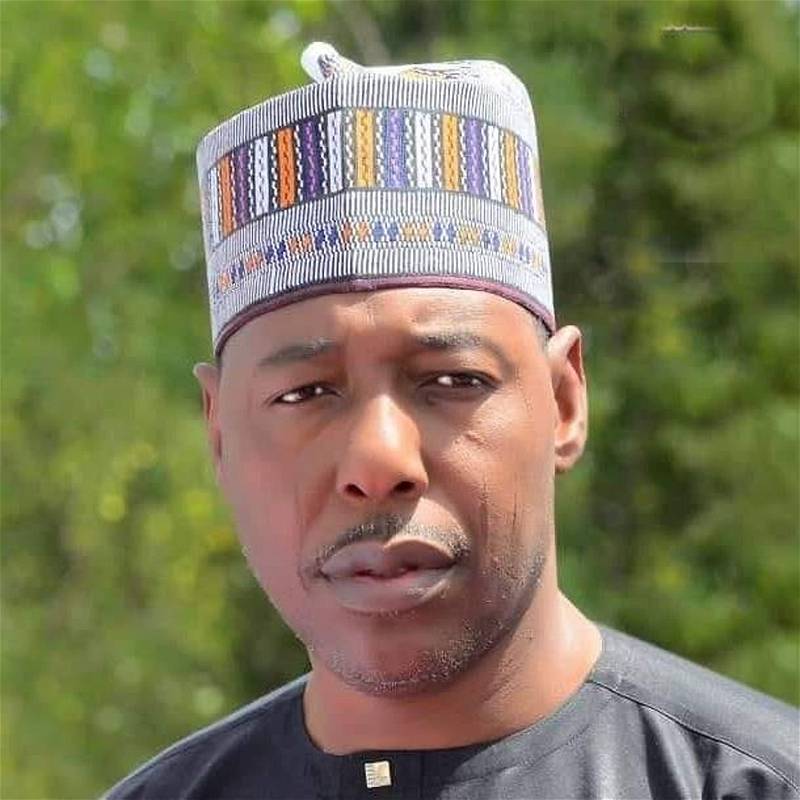 Zulum appoints 168 aides, 104 board members