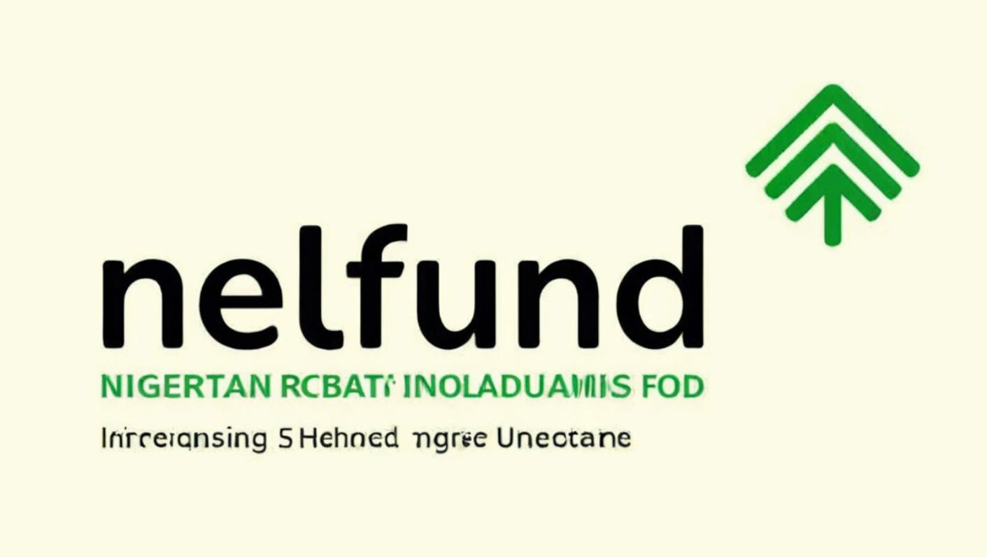 NELFUND: The Journey So Far